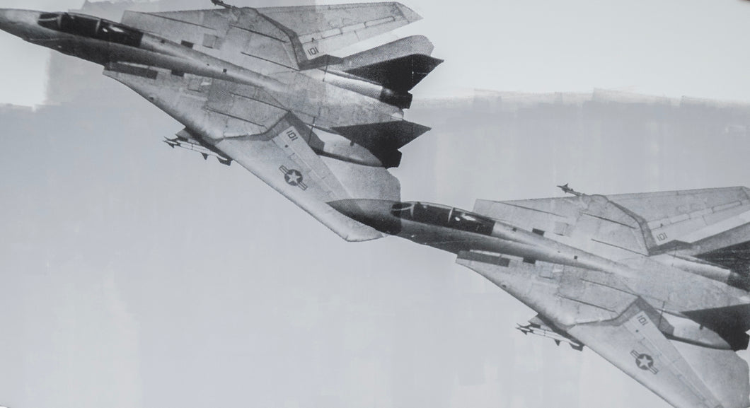 F-14 (Grey)