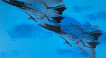 Load image into Gallery viewer, F-14 (Blue)

