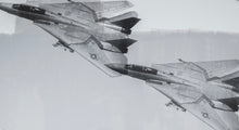 Load image into Gallery viewer, F-14 (Grey)
