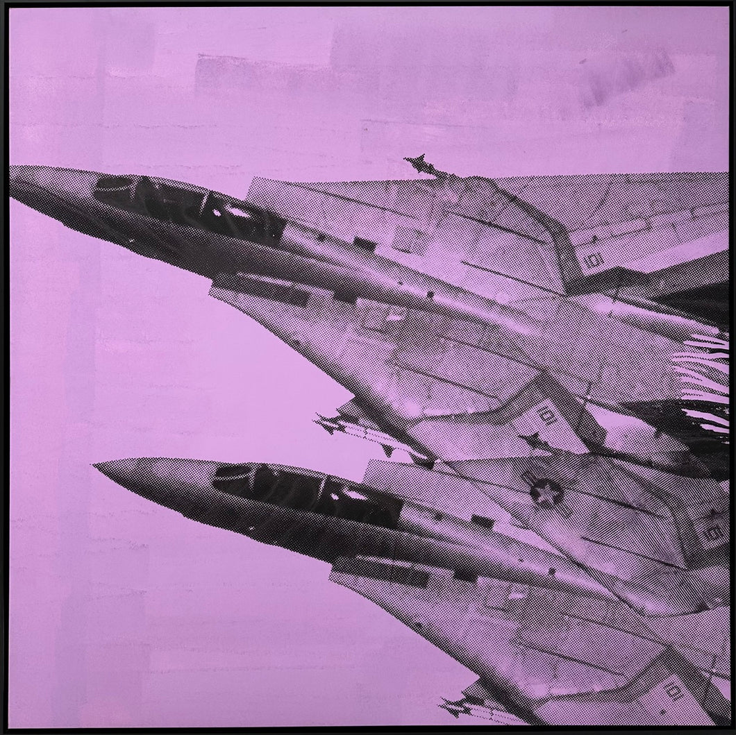 F-14 (Purple)