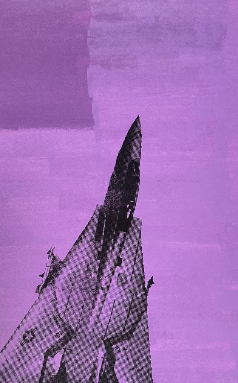 F-14 (Purple) A/P